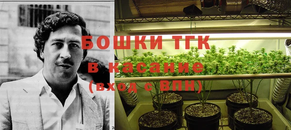 mdpv Верхний Тагил