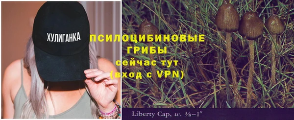 бошки Верхнеуральск