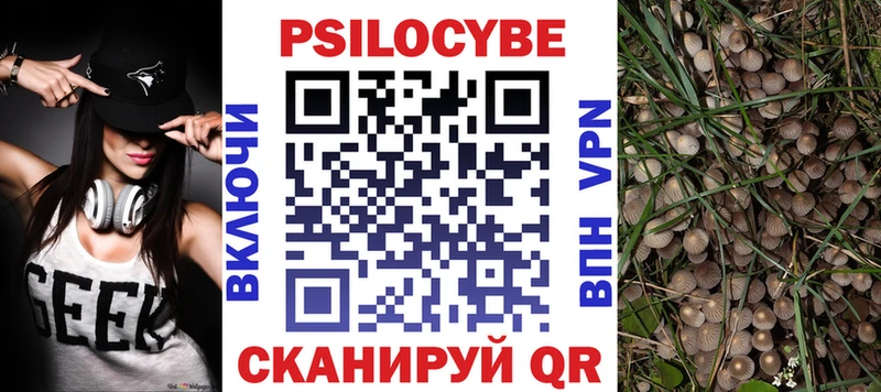 Псилоцибиновые грибы Psilocybe  где найти   Армавир 